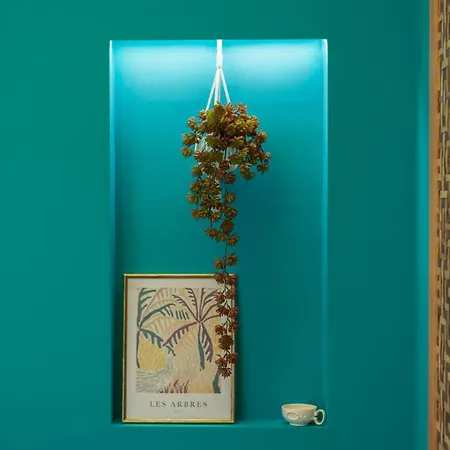 Frida's Apartment